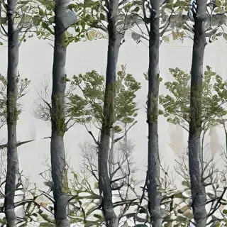 trees transparent