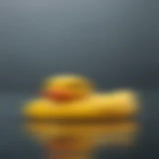 rubber duck png