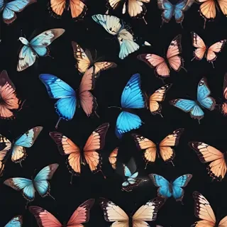 butterfly background transparent