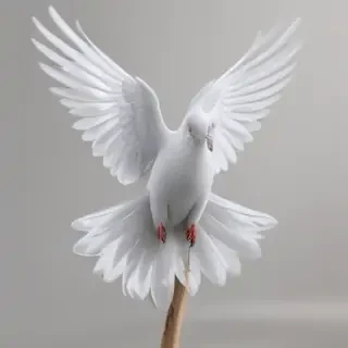 png dove