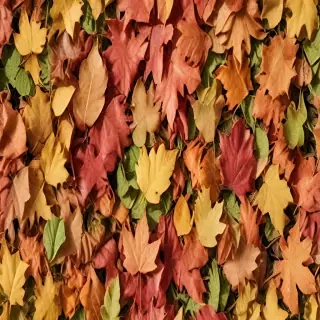fall leaves