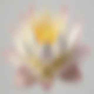lotus flower png