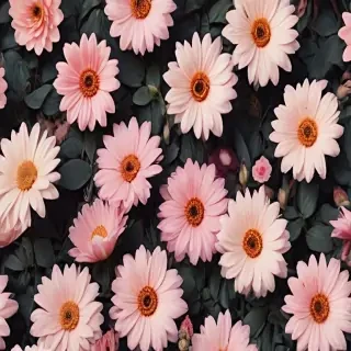 cute aesthetic flower wallpaper
