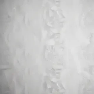 white grey background
