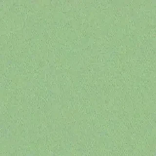 light sage green background