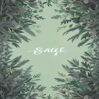 sage aesthetic wallpaper