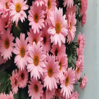 cute aesthetic wallpapers flowers