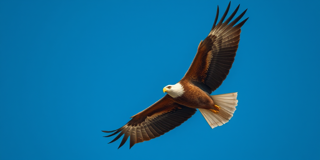 capture a high-resolution image of a soaring eagle with its wings fully spread in a clear blue sky, using a DSLR camera with a 300mm lens, aperture f/5.6, shutter speed 1/1000s, ISO 400, 45-degree angle view for dynamic composition, and vibrant color settings to enhance detail and contrast