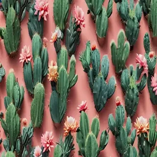aesthetic cactus wallpaper