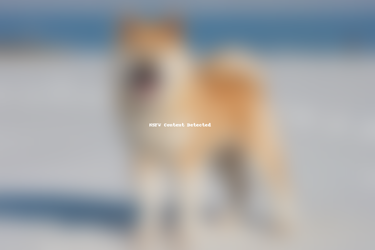 akita inu dog breed