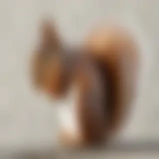 squirrel png