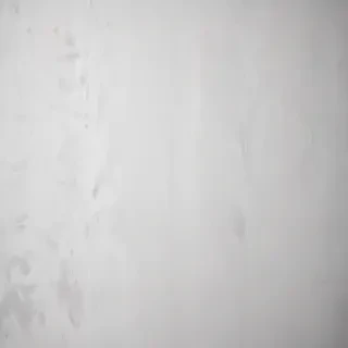 white grey background