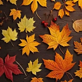 fall background wallpaper iphone