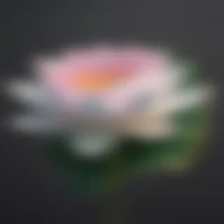 lotus png