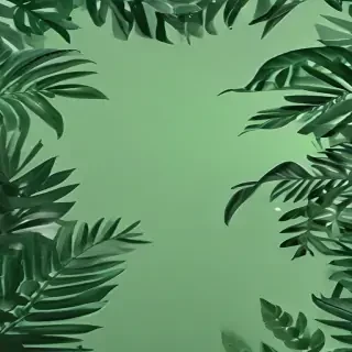 aesthetic green background