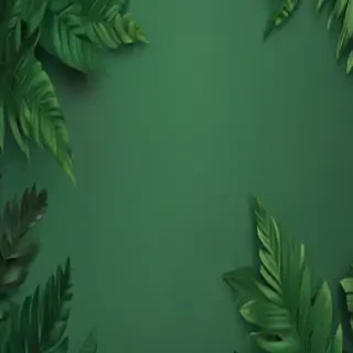 green background aesthetic