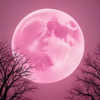 pink moon wallpaper