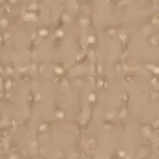 light brown wallpaper aesthetic
