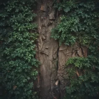 ig background