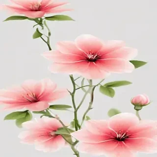 flower background transparent