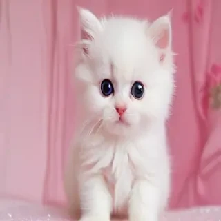 cute pink photos