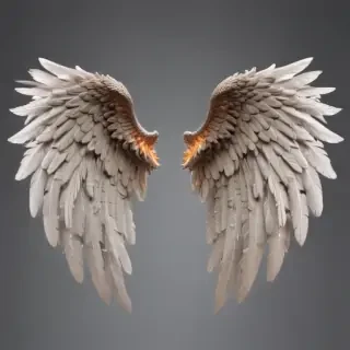 angel wings transparent background