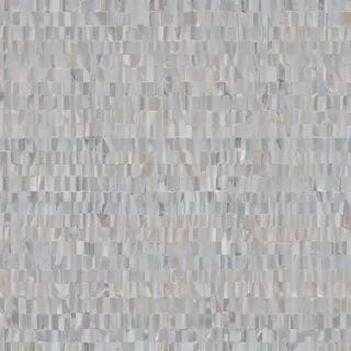 transparent background