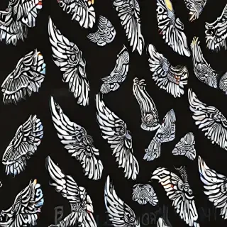wings background