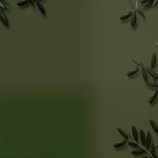 olive green aesthetic wallpaper