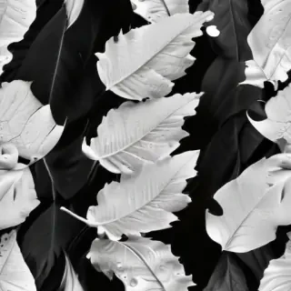 leaf white and black