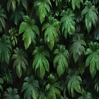 plant wallpaper