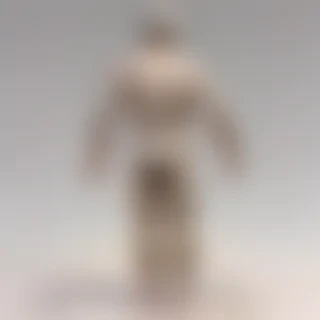 person transparent