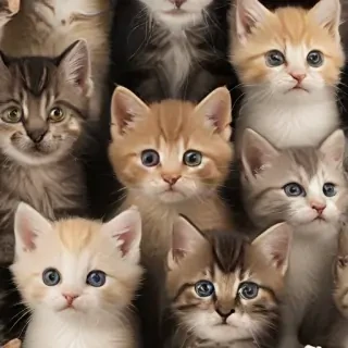 kittens background