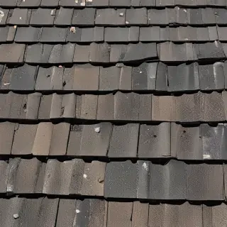 pictures of shingles