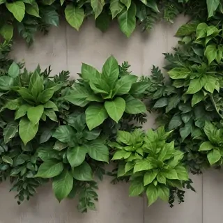 zoom background plants