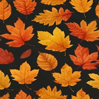 autumn leaf png