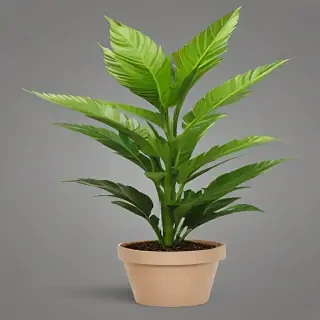 plant png clipart