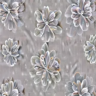 transparent flower outline