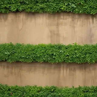landscaping background