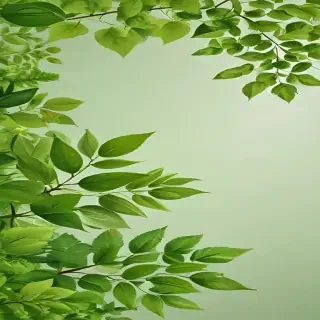 background with green leaves