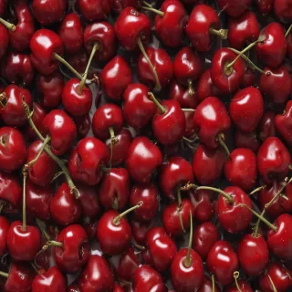 cherry background