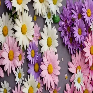 wallpaper iphone flowers