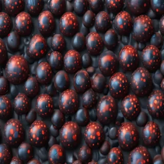 polka dots png