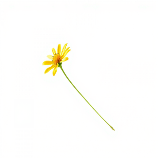 a single yellow flower with a long stem on a clean white background, captured with a DSLR camera using a 50mm lens, aperture f/2.8 for shallow depth of field, ISO 100, soft natural lighting to enhance colors and details