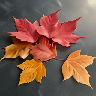 fall leaves