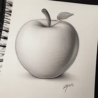 apple drawings