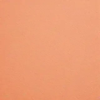 peach color background