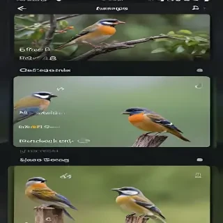 bird sounds