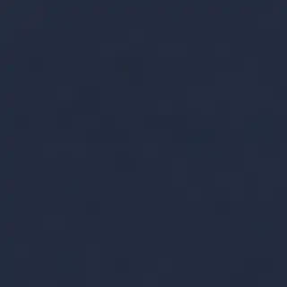 navy blue bg