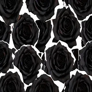 black roses png